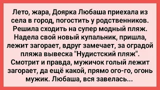 Доярка Завелась от Увиденного на Нудистском Пляже! Сборник Свежих Смешных Жизненных Анекдотов!