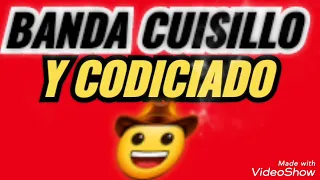 No Se Lo Digas A Ella - Banda Cuisillos ft Codiciado - Karaoke