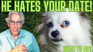 Can Pets Smell a Bad Vibe? Warren Eckstein on The Pet Show #AskWarren