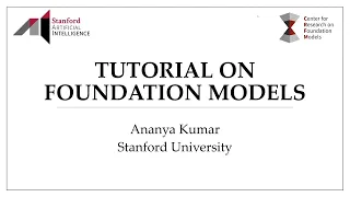 Foundation Models Tutorial, and Why Not to Fine Tune Them