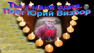 Ты у меня одна.  Поёт Юрий Визбор