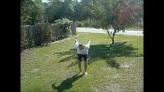 Steve-o Doing A Back Flip