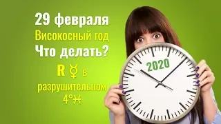 29 февраля  Високосный год Что делать?