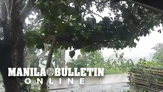 Strong winds brought by STS 'Florita' hit Gattaran, Cagayan