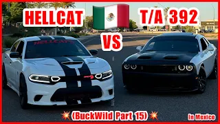 T/A 392 VS HELLCAT !