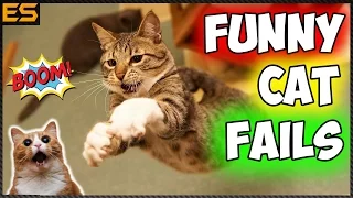 Лучшие Приколы с Котами / Funny Cats Fails Compilation   #2