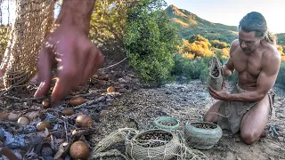 SURVIVAL FOOD: Jackpot Acorn Harvest