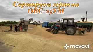 Работаем на зернотоке АО «ВОСТОК» Сортируем пшеницу на ОВС-25УМ. Обзор территории зернотока