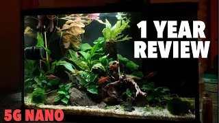 1 Year Update On The $20 Aquarium Kit: Top Fin Essentials Starter Kit Review