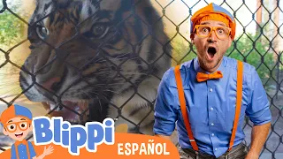 Blippi visita un zoológico | Blippi Español | Videos Educativos