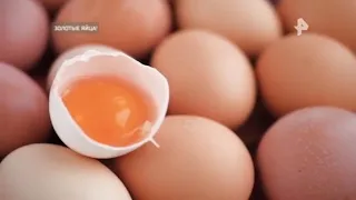 Золотые яйца. Самые шокирующие гипотезы