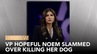VP Hopeful Noem Slammed Over Dog Killing | The View