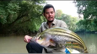 JEJAK PETUALANG | PESTA IKAN DI NANGA MATU (19/09/18) 2-3