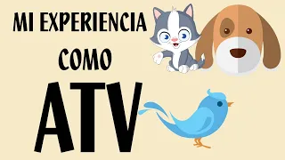 MI EXPERIENCIA EN UN VETERINARIO   COMO ATV EN PRACTICAS  | cloegf