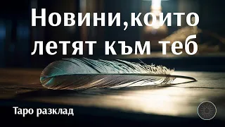 Летят новини към теб-какви са?🕊️📰🤔