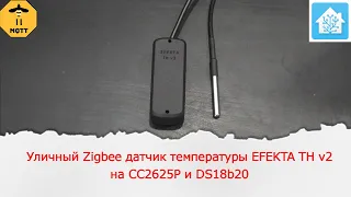 Уличный Zigbee датчик температуры EFEKTA TH v2 на СС2625P и DS18b20