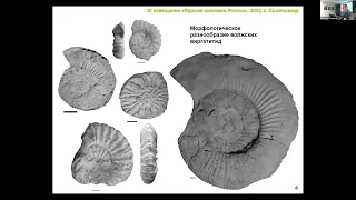 19 - Рогов М.А. - Аммониты Virgatitidae в средневолжском подъярусе севера европейской России