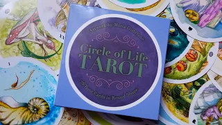 Таро "Круг жизни"/Circle of Life Tarot (реплика АлиЭкспресс). Обзор колоды