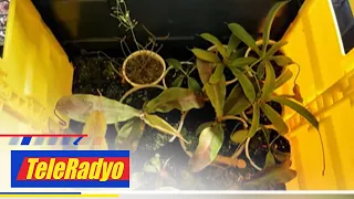 HaPinay | TeleRadyo (27 September 2022)