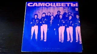 Винил. Самоцветы. 1973