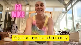 Kriya for Thymus and Immunity