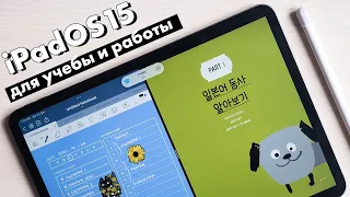 iPadOS 15: полезные функции для учебы и работы