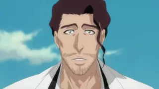 Super Long Bleach AMV  Aizen&Espada vs  Karakura townGotei 13&Vizards