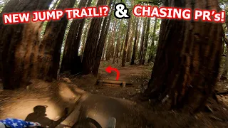 Exploring a NEW MTB Jump Trail & Speeding Down Steep In UCSC Santa Cruz Mountain Bike Trails!