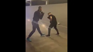 ANDREW TATE DROPS TIKTOK STAR ROBERT ALEXANDRU! 🥊