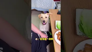 【肉肉說了算】不包生菜我不吃