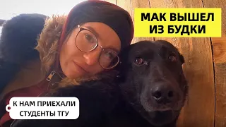 ВЫЕЗД-ВЛОГ I 05.11.23 I ДИАГНОЗ БЭЛЛЫ I РАДУЮСЬ АХРИНИЧЕСКИМ БУДКАМ