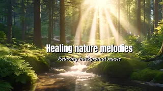 "Healing nature melodies"Soothing Nature Sound BGM【Music to Relax/Study to】