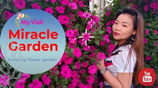 Dubai Miracle Garden a beautiful flower garden, Amazing art efacts, Best color full had a lovely day