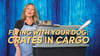 Cargo-Checked Crates: Airline Edition | Dog Grooming & Handling Equipment Series