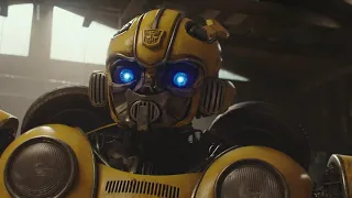 bumblebee being adorable for 4 minutes