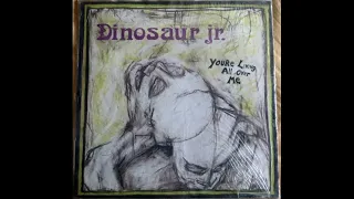 Dinosaur jr - Youre Living All Over Me 1987 (Full Album Vinyl 2011) US