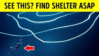 7 Bizarre Creatures Science Just Discovered