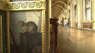 Les chats du musée de l'Ermitage à Saint-Petersbourg