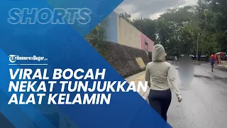 Video Viral Bocah Nekat Tunjukkan Alat Kelamin ke Wanita yang Jogging di GOR Purbalingga