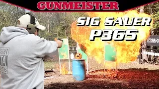 SIG SAUER P365 | THE BEST CONCEALED CARRY GUN?