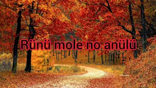 No Anülü (my love)Official music/Original/Chokri Love song/By Er. Shevezo Theluo/@vefuzovlog