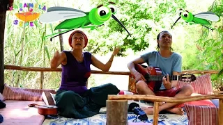Sivrisinek Çocuk Şarkısı - Judith Liberman & Onur Erol