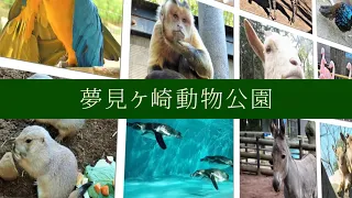 夢見ヶ崎動物公園CM 30秒版