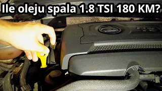 Czy 1.8 TSI 180 KM bierze olej? Test benzyny 98 vs 100 i nowe siłowniki klapy bagażnika | Daily #75