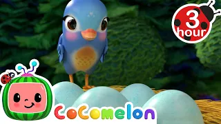 Five Little Birds on My Doorstep + More | Cocomelon - Nursery Rhymes | Fun Cartoons For Kids