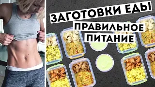 ЗАГОТОВКА ЕДЫ на 3 ДНЯ🍏ПРАВИЛЬНОЕ ПИТАНИЕ💪Простые ПП рецепты MEAL PREP by Olya Pins