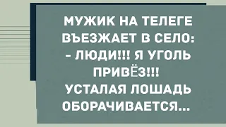 Мужик на телеге въезжает в село. Смех! Юмор! Позитив!