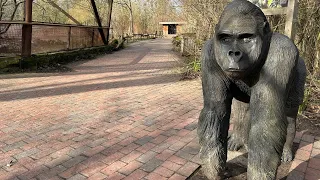 A Serene Adventure at Gaia Zoo: Discovering the Heart of Nature | Kerkrade, NL 🇳🇱- Feb 5, 2024