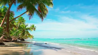 Summer beach Video