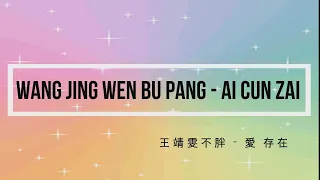 王靖雯不胖 Wang Jing Wen Bu Pang – 愛 存在 Ai Cun Zai Mandarin, Pinyin  And English Translation